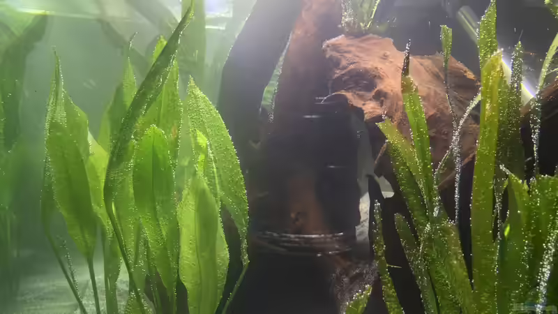 Die Einrichtung von Marius Stößer (29)