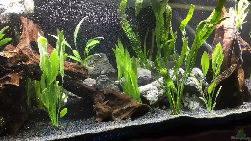 Die Einrichtung von Marius Stößer (30)