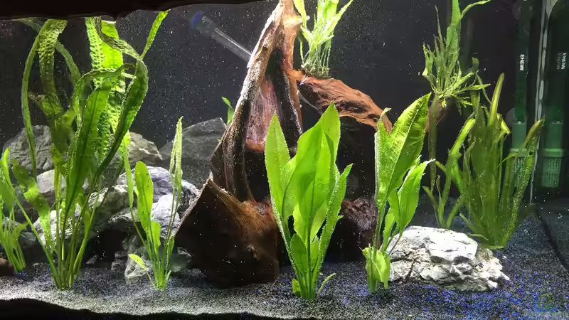 Die Einrichtung von Marius Stößer (31)