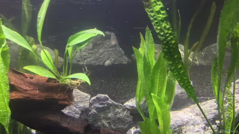 Die Einrichtung von Marius Stößer (32)