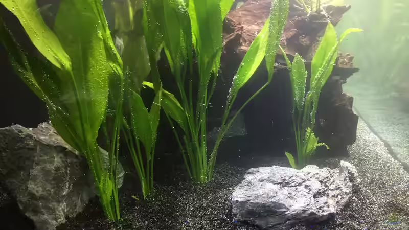 Die Einrichtung von Marius Stößer (33)