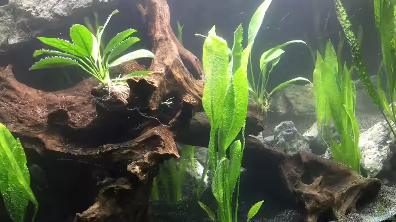 Die Einrichtung von Marius Stößer (36)