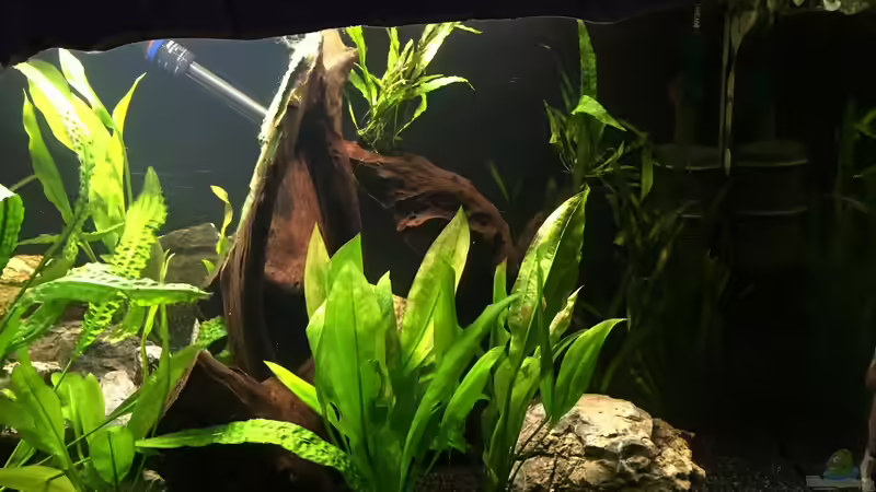 Die Einrichtung von Marius Stößer (37)