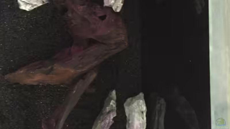 Die Einrichtung von Marius Stößer (66)