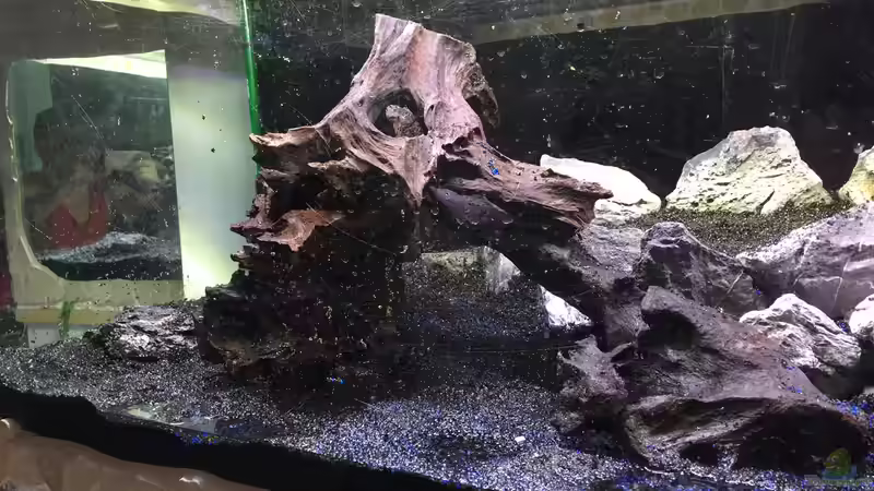 Die Einrichtung von Marius Stößer (7)