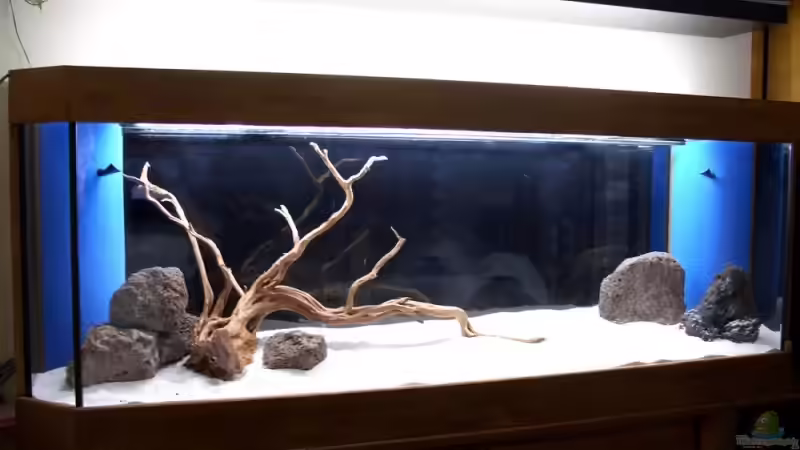 die einrichtung von Marmax (22)