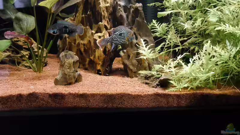 Die Eltern von Christof Engel (34)