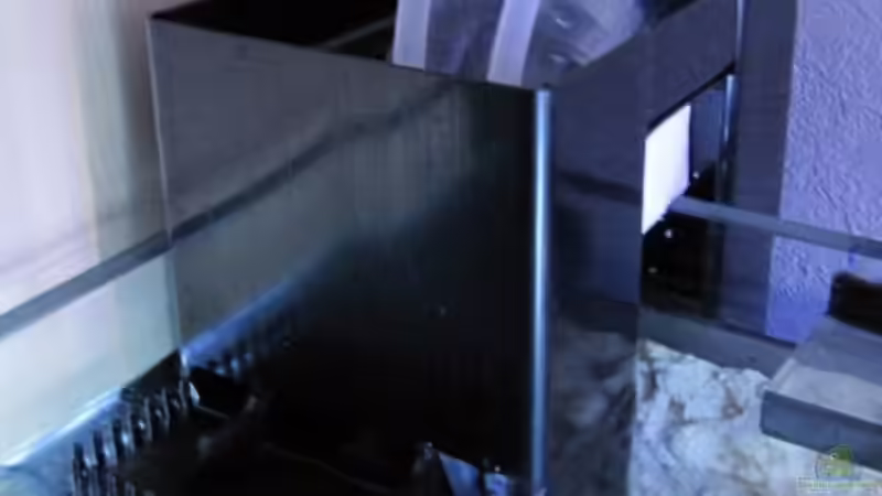 Die Entstehungsphase - Der ??berlauf von DaHeit1982 (8)