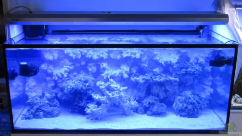 Die Entstehungsphase - Die ´grobe´ Einrichtung von DaHeit1982 (6)