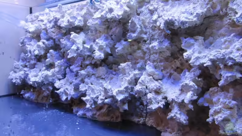 Die Entstehungsphase - Die Rückwand von DaHeit1982 (5)