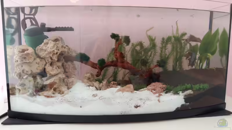 Die erst Bepflanzung  von Spawngrow (4)