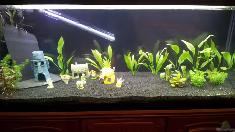 die erst Woche.... von oliK (5)