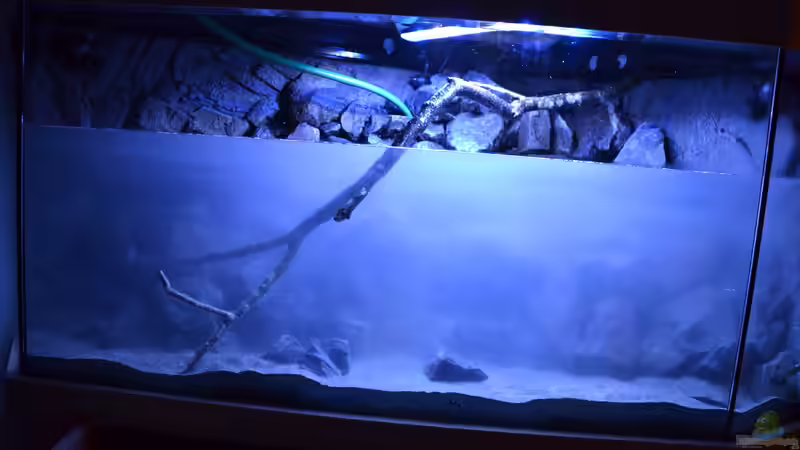 Die erste Befüllung von Flutsch (7)