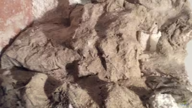 Die erste beschichtung von Dülla (7)