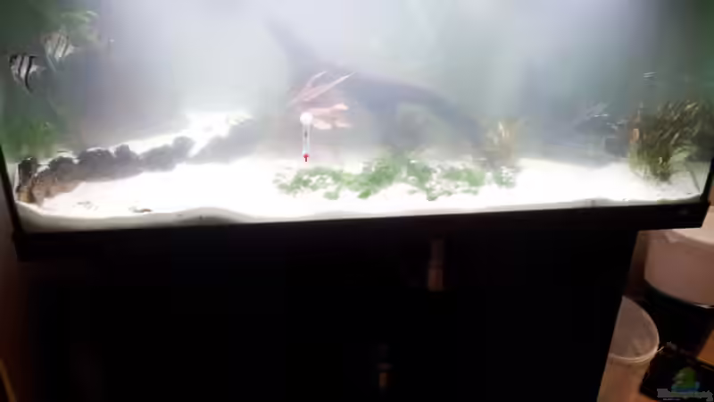 Die erste bewohner von Mateusz (4)