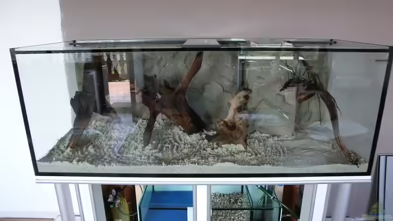 Die erste Deko ist drin :) von Steven Tumma (35)