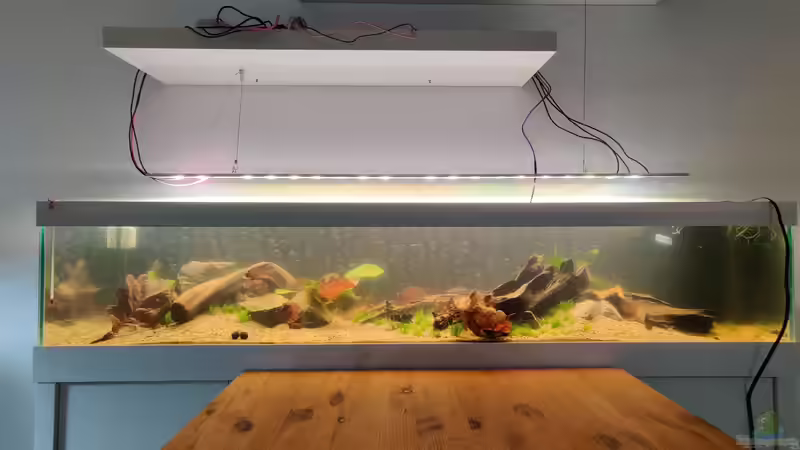 Die erste Inbetriebnahme von xpate (2)