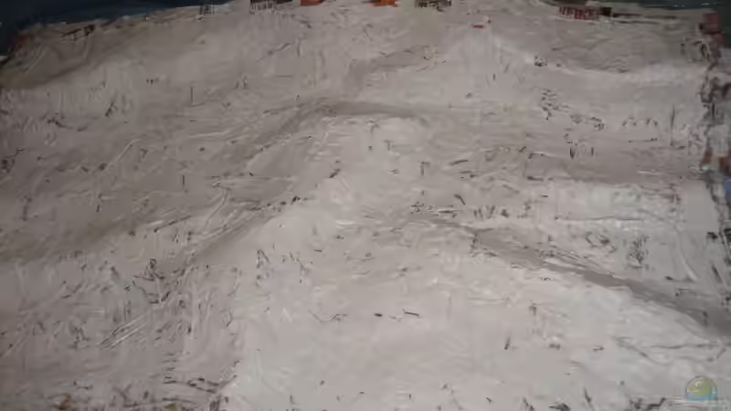 Die erste Lage Gips von Delta (14)