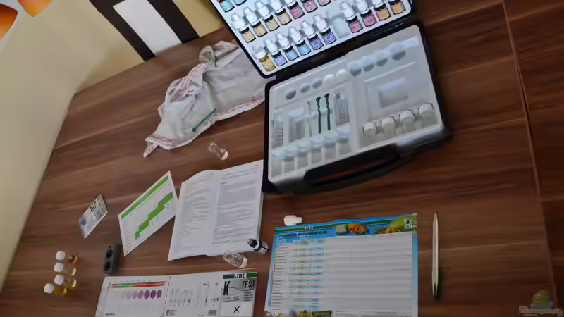 Die erste Wasseranalyse von Flutsch (25)