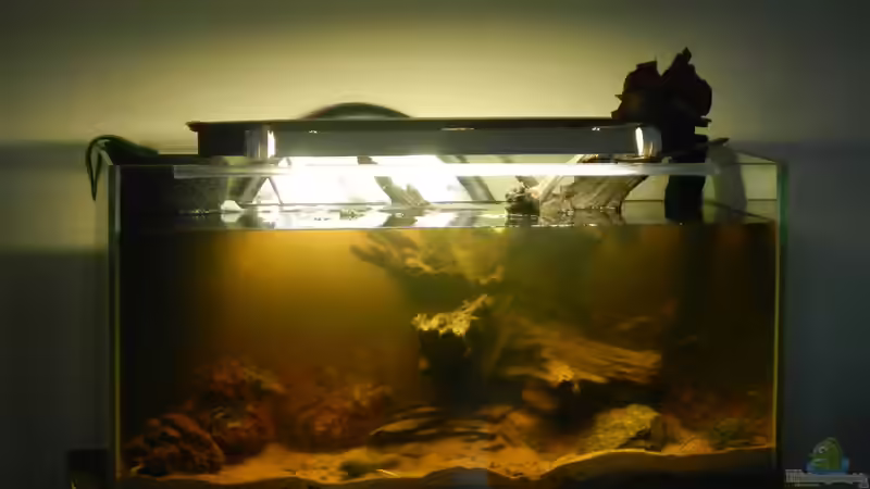 Die erste Woche.  von miv (10)