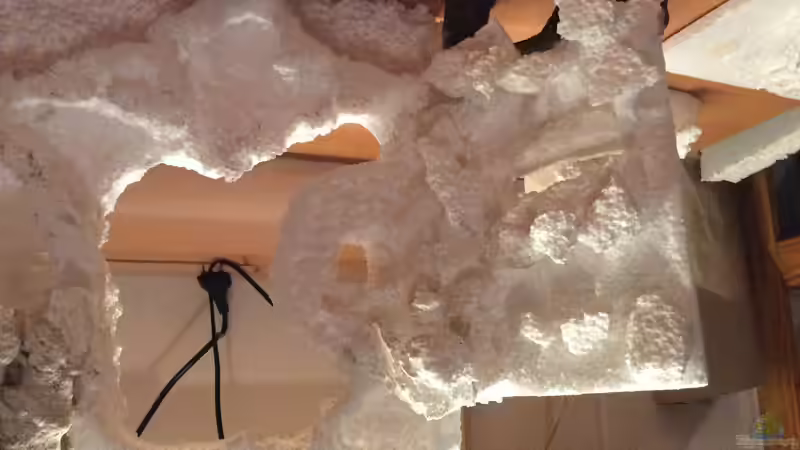 Die ersten Arbeitsgänge. von Dülla (5)