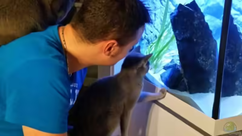 die ersten Bewohner sind drin, Der tv ist aus :) von redieh (30)