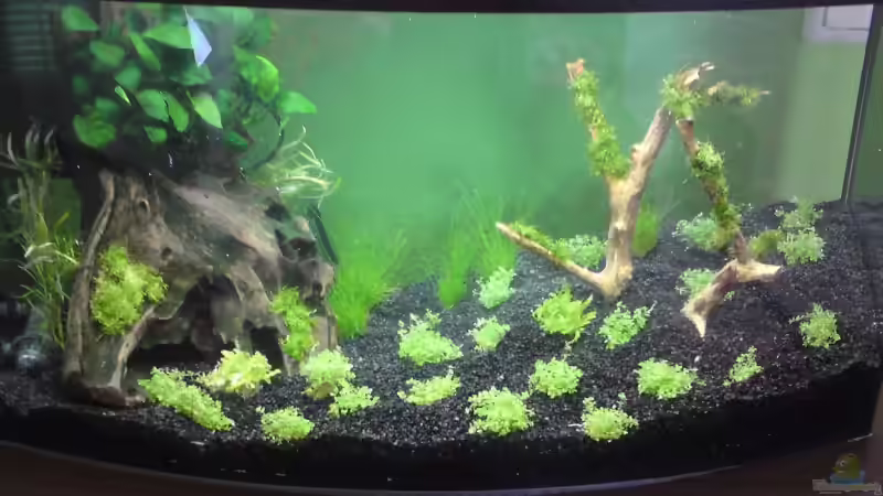 Die ersten Bilder, kurz nach der Einrichtung von Patric (2)