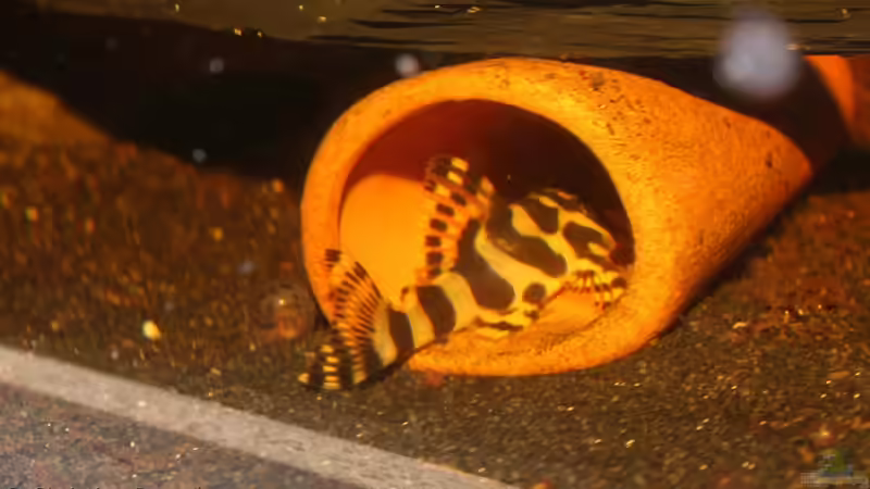 Die ersten Blicke in Höhlen von chrisi01 (25)