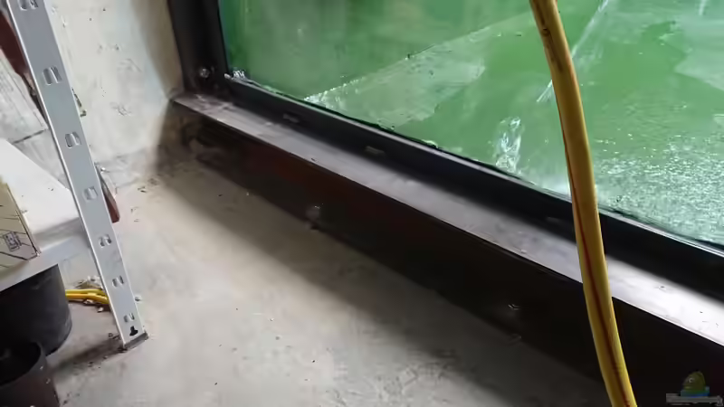 die ersten Liter laufen ein von kellerkind (42)