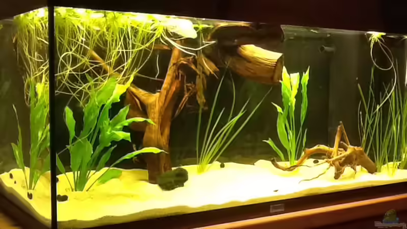 Die ersten Pflanzen/13.10.14 von Jemafa (4)