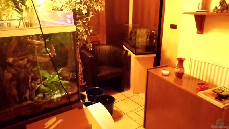 Die ersten Schritte sind getan von snooze (6)