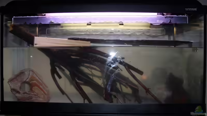 Die ersten Schritte von JörgsMalawis