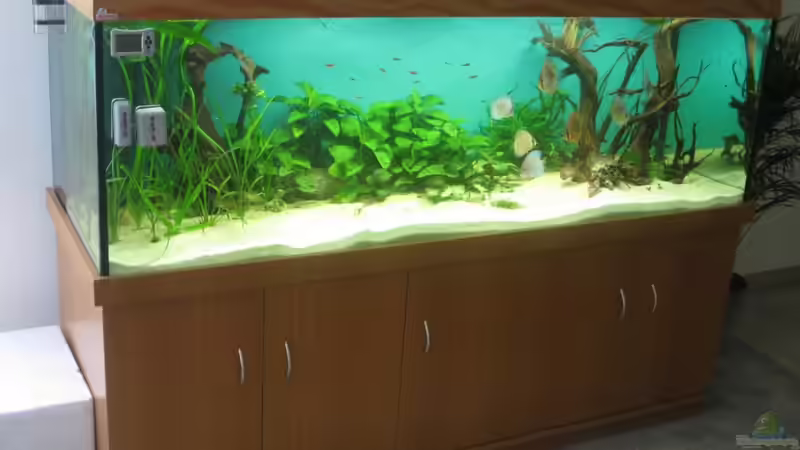 Die ersten sind eingezogen... von Korbi (4)