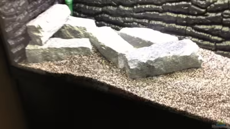 Die ersten Steine... von Ralf Schmitz (5)