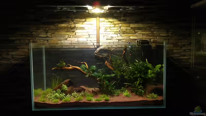 Die ersten Tage von El Hein (23)