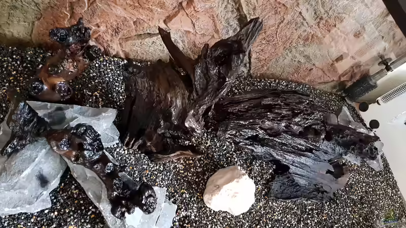 Die ersten Versuche  von Manuela&Mike (13)