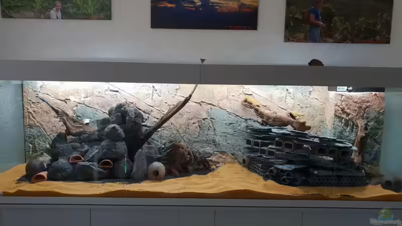 Die ersten Versuche 15.09.2018 von Christian Roger Rohrer (2)