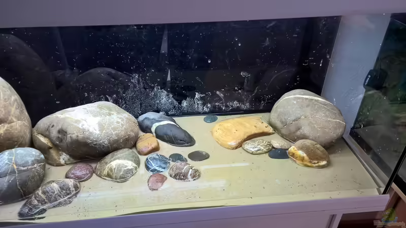 Die ersten Versuche von axolotl (7)