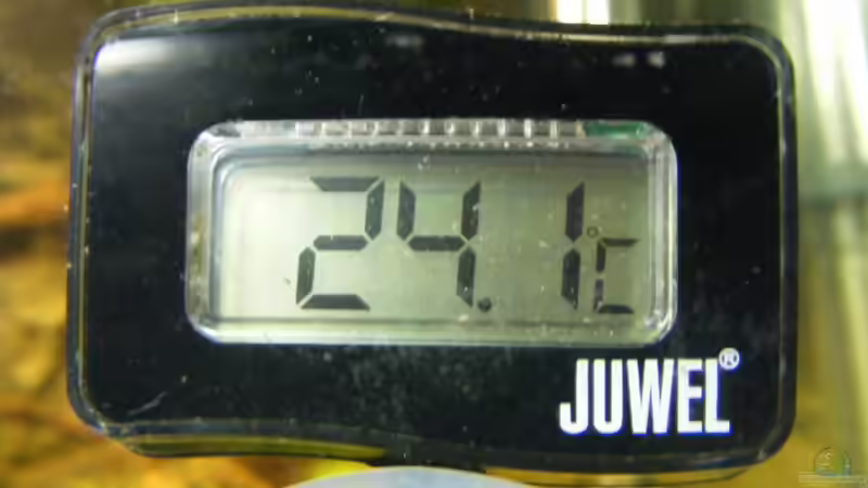 die exakte Temperatur von Falk (64)