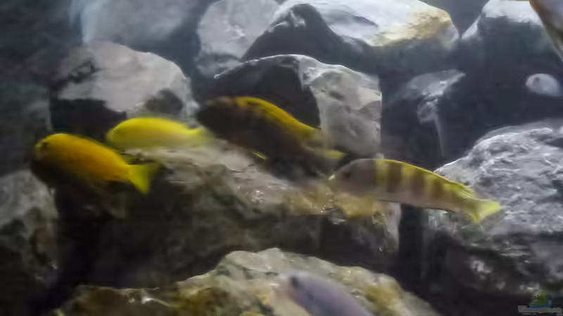 Die Familie von Tobias.Neher (7)