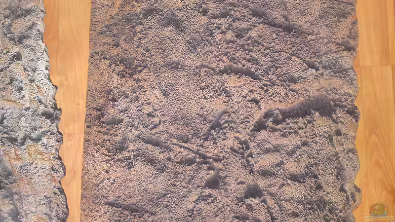 Die Farben erscheinen je nach Blickwinkel völlig unterschiedlich. von GGuardiaNN (34)