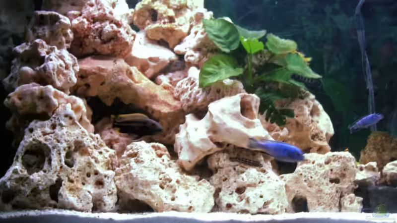 Die Felswand von Danny Mietzsch (9)