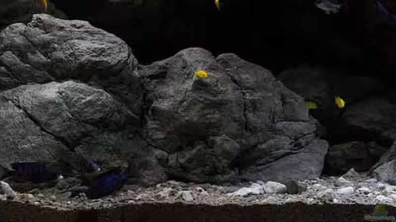 Die Felszone .. [linkes Drittel vom Becken]!! von AjakAndi (4)