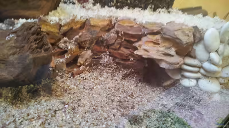 Die fertige Höhle von Kerstin Rünagel (4)