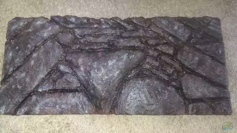 die fertige Rückwand von Harry Nemitz (23)