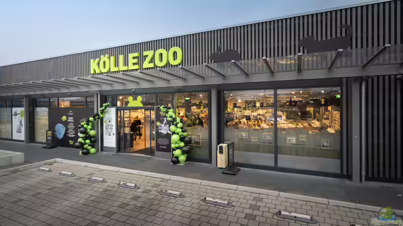 Die Filialen von Kölle Zoo in Deutschland, Österreich und Belgien - Tierische Erlebniswelten für Haustierfreunde