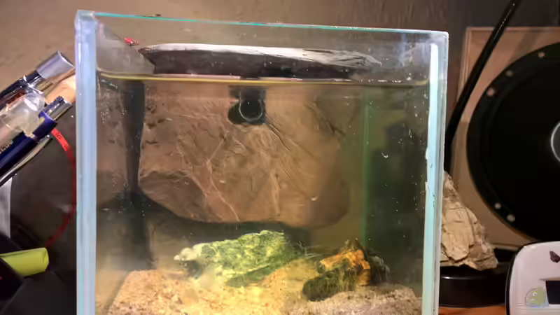 Die Filterabdeckung von Martin L. (12)