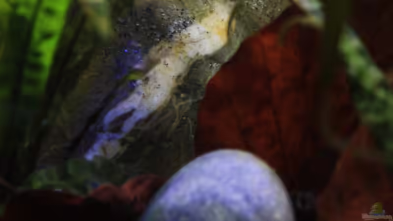 Die Flußsteine von Florian Bandhauer (32)