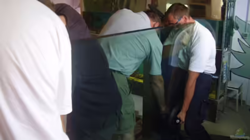 die Fronscheibe hat 240kg von Kerstin Aßlaber (21)