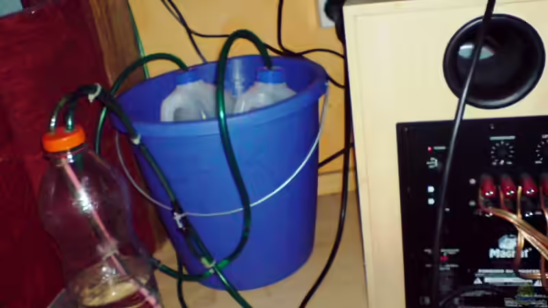 Die Gärflaschen stehen in meinem WW-Eimer, damit sie nicht so kalt stehen von timme (21)